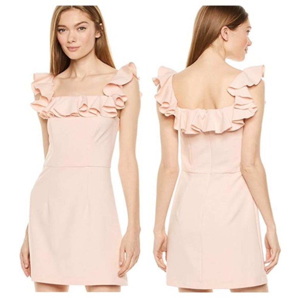 French connection Tea Gown Dress Ruffle whisper